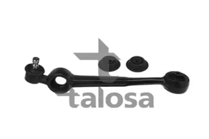 talosa-4602095