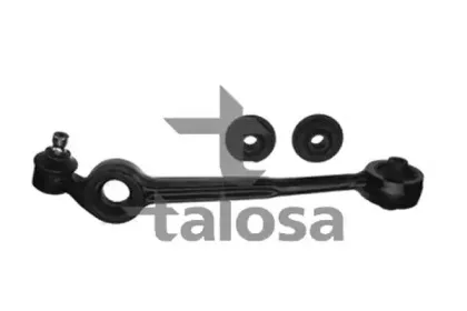 talosa-4602097