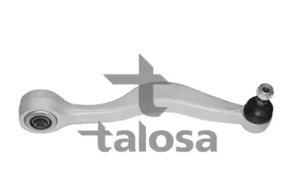 talosa-4602218