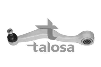 talosa-4602219