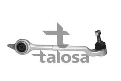 talosa-4602332
