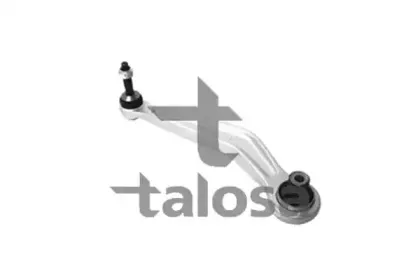 talosa-4602337