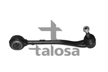 talosa-4602375