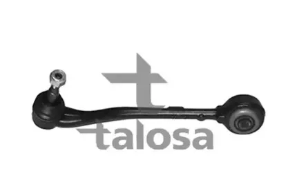 talosa-4602376