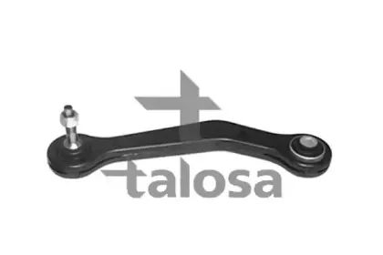 talosa-4602382