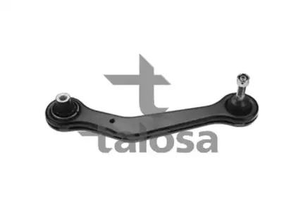 talosa-4602384