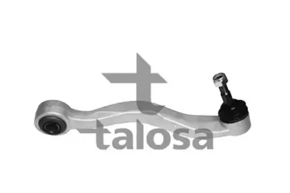 talosa-4602412