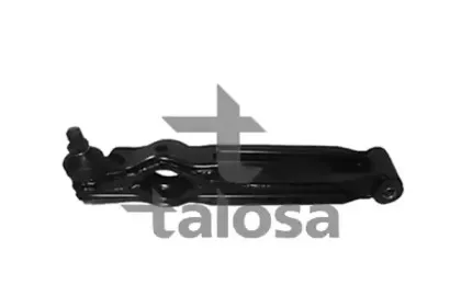 talosa-4602661
