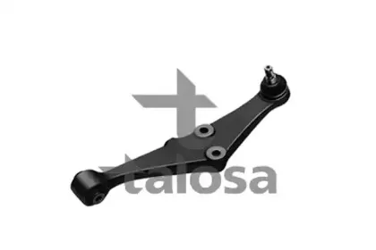 talosa-4602803