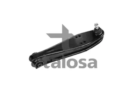 talosa-4602920