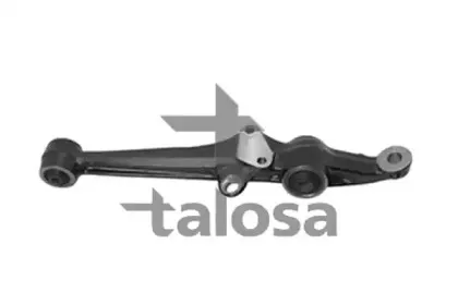 talosa-4602928