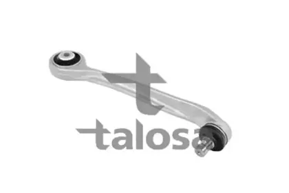talosa-4603706