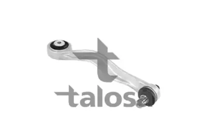talosa-4603707
