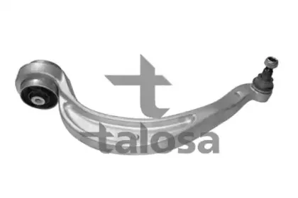 talosa-4603744