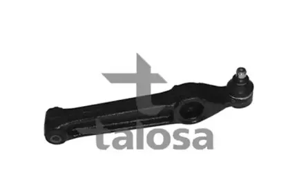talosa-4604107