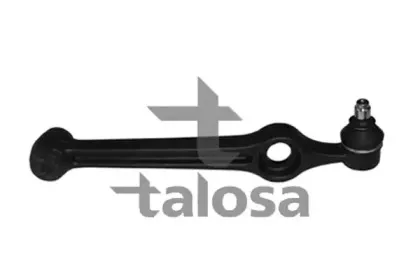 talosa-4604352