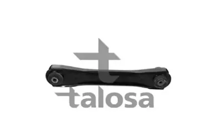 talosa-4604417