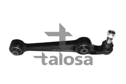 talosa-4604533