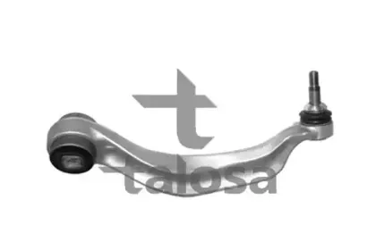 talosa-4606563