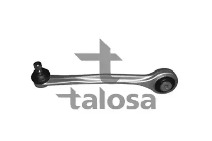 talosa-4607216