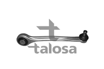 talosa-4607217