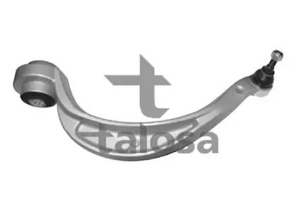 talosa-4607218