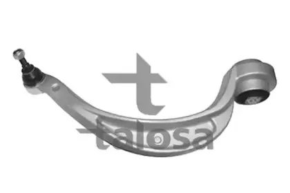 talosa-4607219