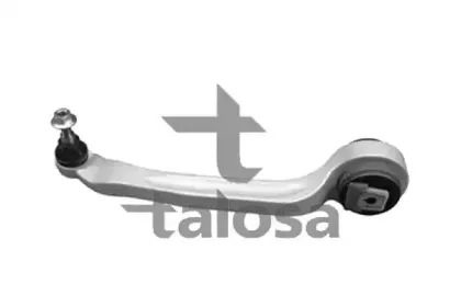talosa-4607584