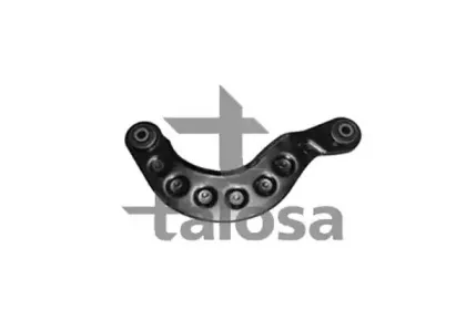 talosa-4607787