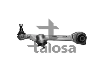 talosa-4607906