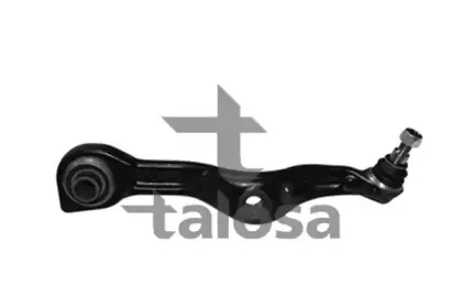 talosa-4607913