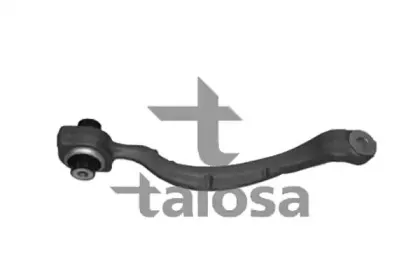 talosa-4608279