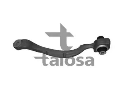 talosa-4608280