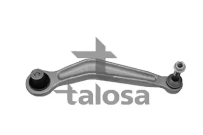 talosa-4608652