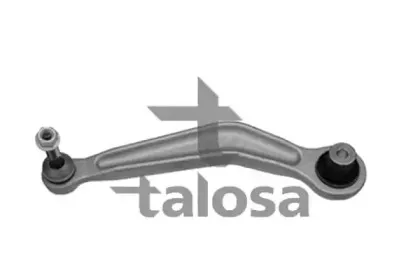 talosa-4608653