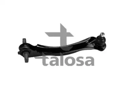talosa-4608708