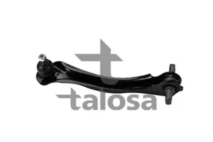 talosa-4608709