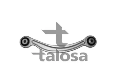 talosa-4608739