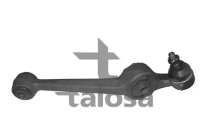 talosa-4609071