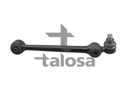 talosa-4609501