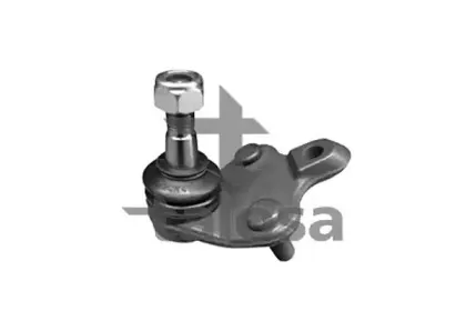 talosa-4700612