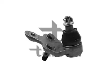 talosa-4701467