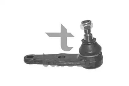 talosa-4704001