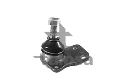 talosa-4704063