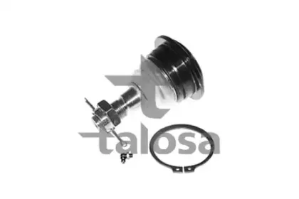talosa-4704374