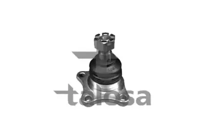 talosa-4704454