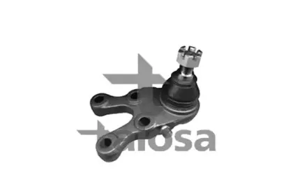 talosa-4704455