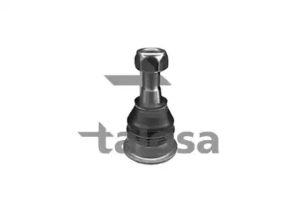 talosa-4704576
