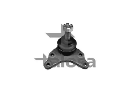 talosa-4704725