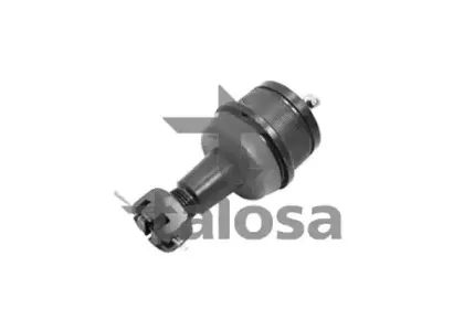 talosa-4705466